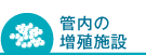 管内の増殖施設